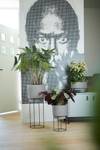 b.for studio schale 30cm living beton
